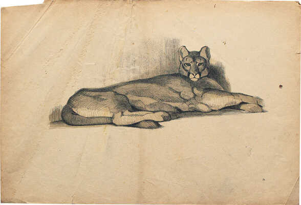 Ватагин Василий Алексеевич. Лот из двух листов из альбома «Рисунки в автолитографиях» 